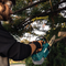 Makita XCU10Z 18V LXT® Lithium-Ion Brushless Cordless 12" Top Handle Chain Saw (Tool Only)